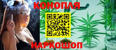 apvp Канаш