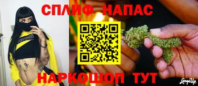 apvp Канаш
