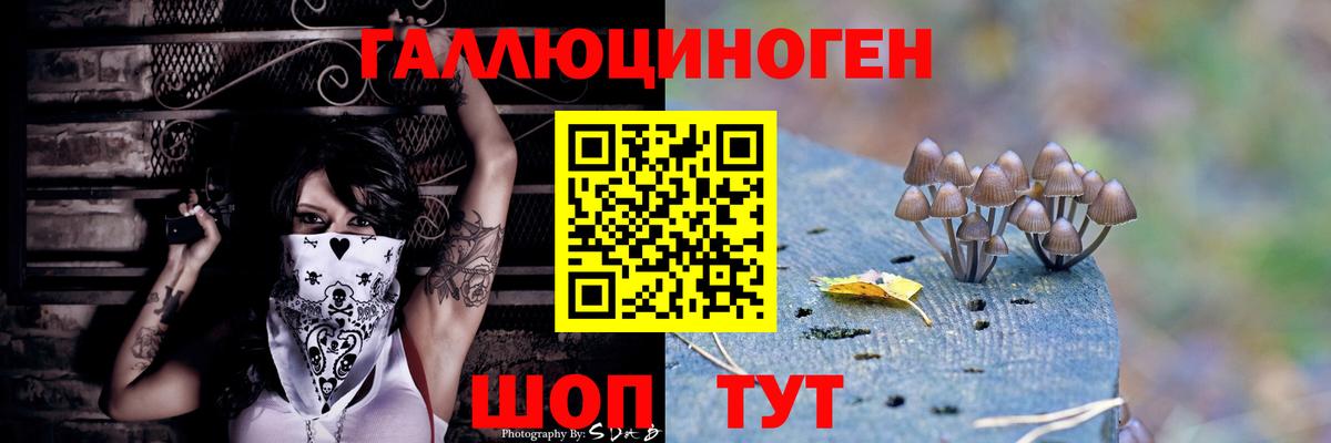 Котлас  Галлюциногенные грибы мухоморы  Вход с VPN 